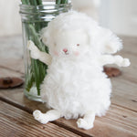 Roly Poly White Lamb