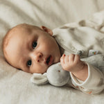 Grey Bunny Friendly Chime