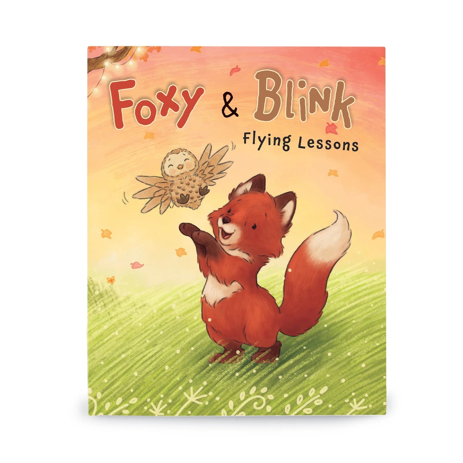 Foxy & Blink Flying Lessons Story Book