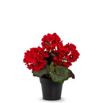 Potted Red Geranium