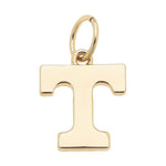 Gold Power T Charm