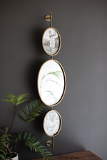 Rotating Wall Mirror with Frames