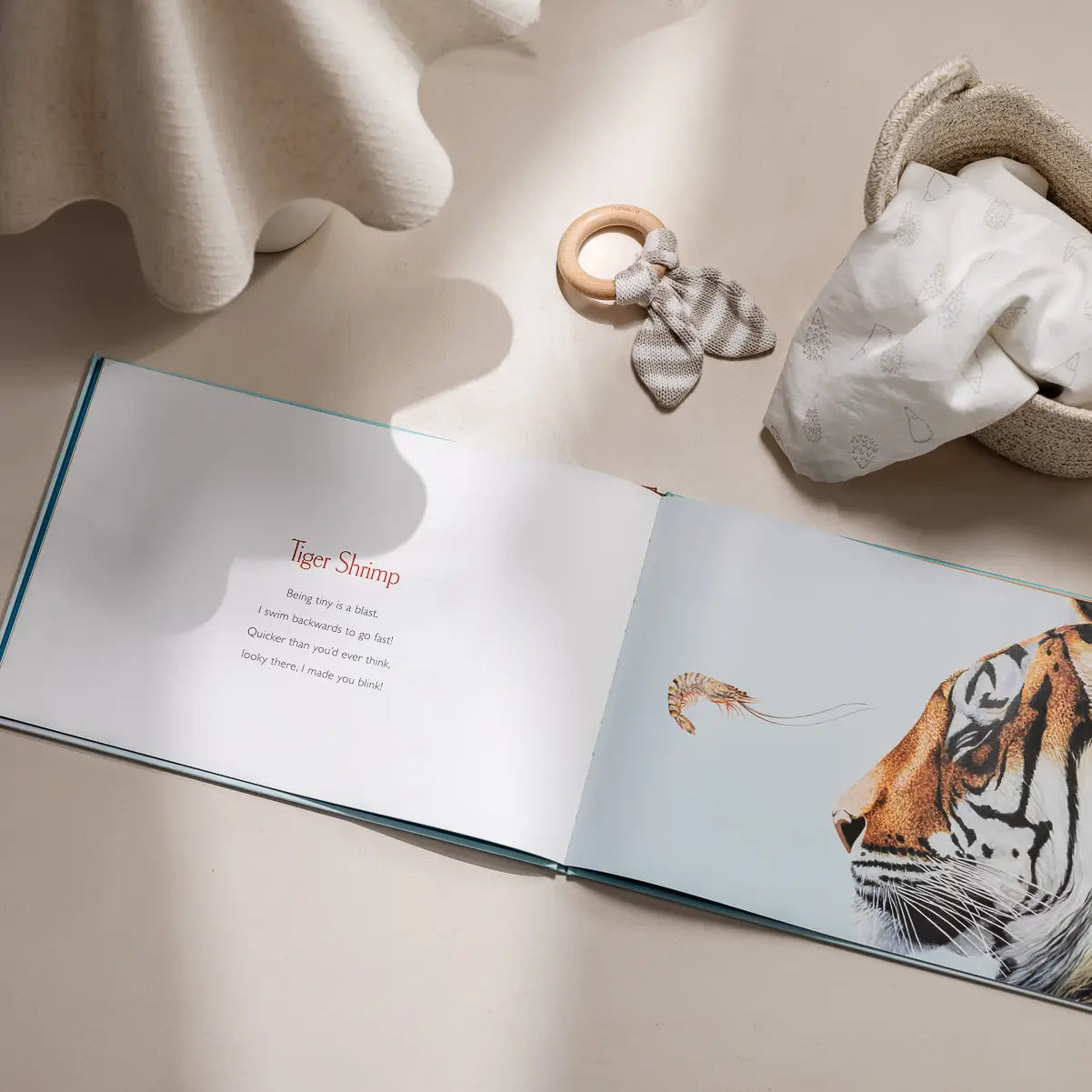 You Stole My Name Book