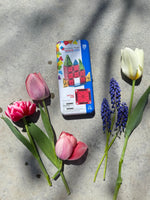 Magna-Tiles MicroMags Travel Set