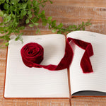 Raw Edge Velvet Ribbon