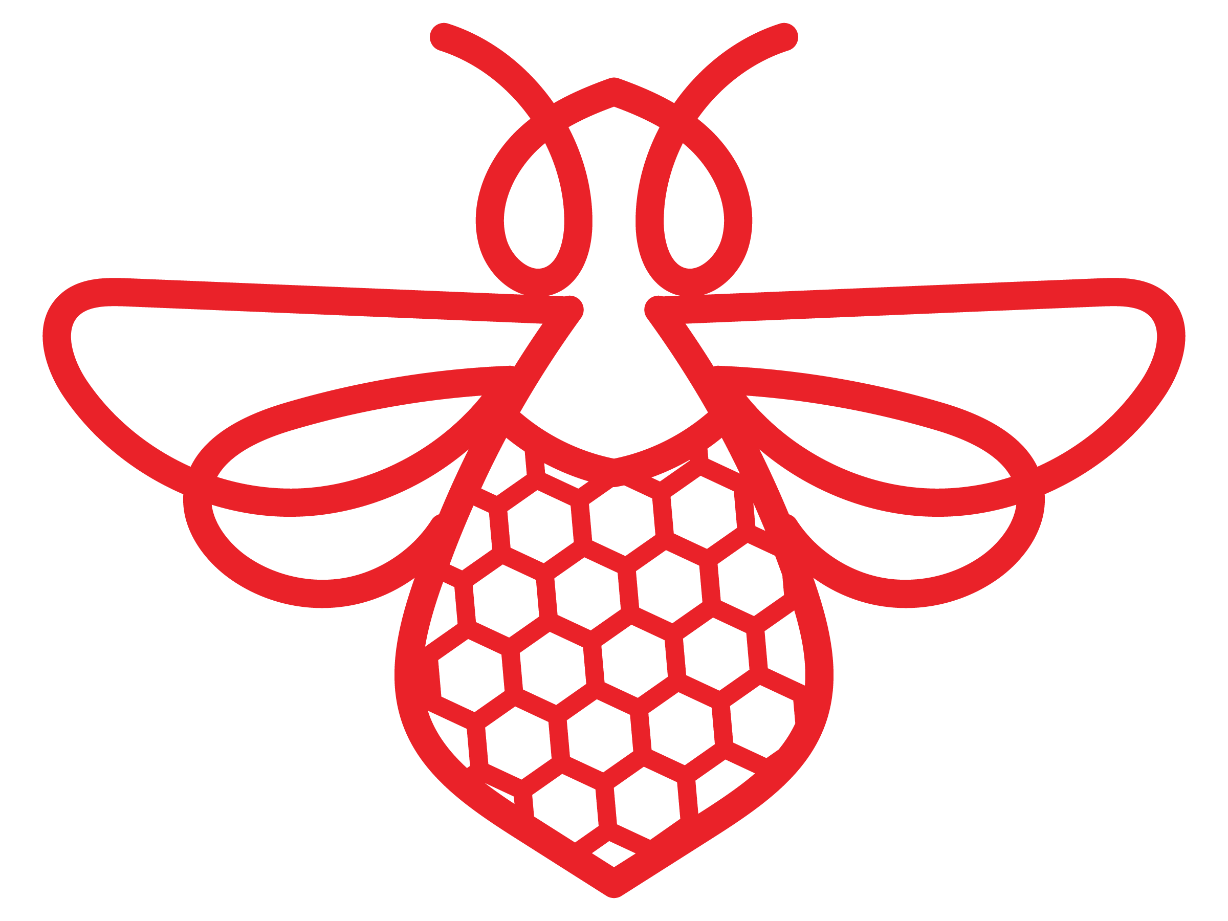 American Honey Mercantile