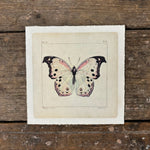 White Butterfly Wall Paper Print