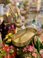 Rabbit with Tray