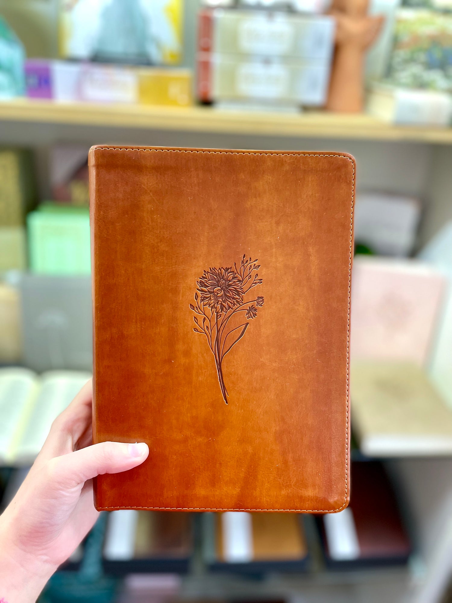 ESV Large Print Journaling Bible: Sierra