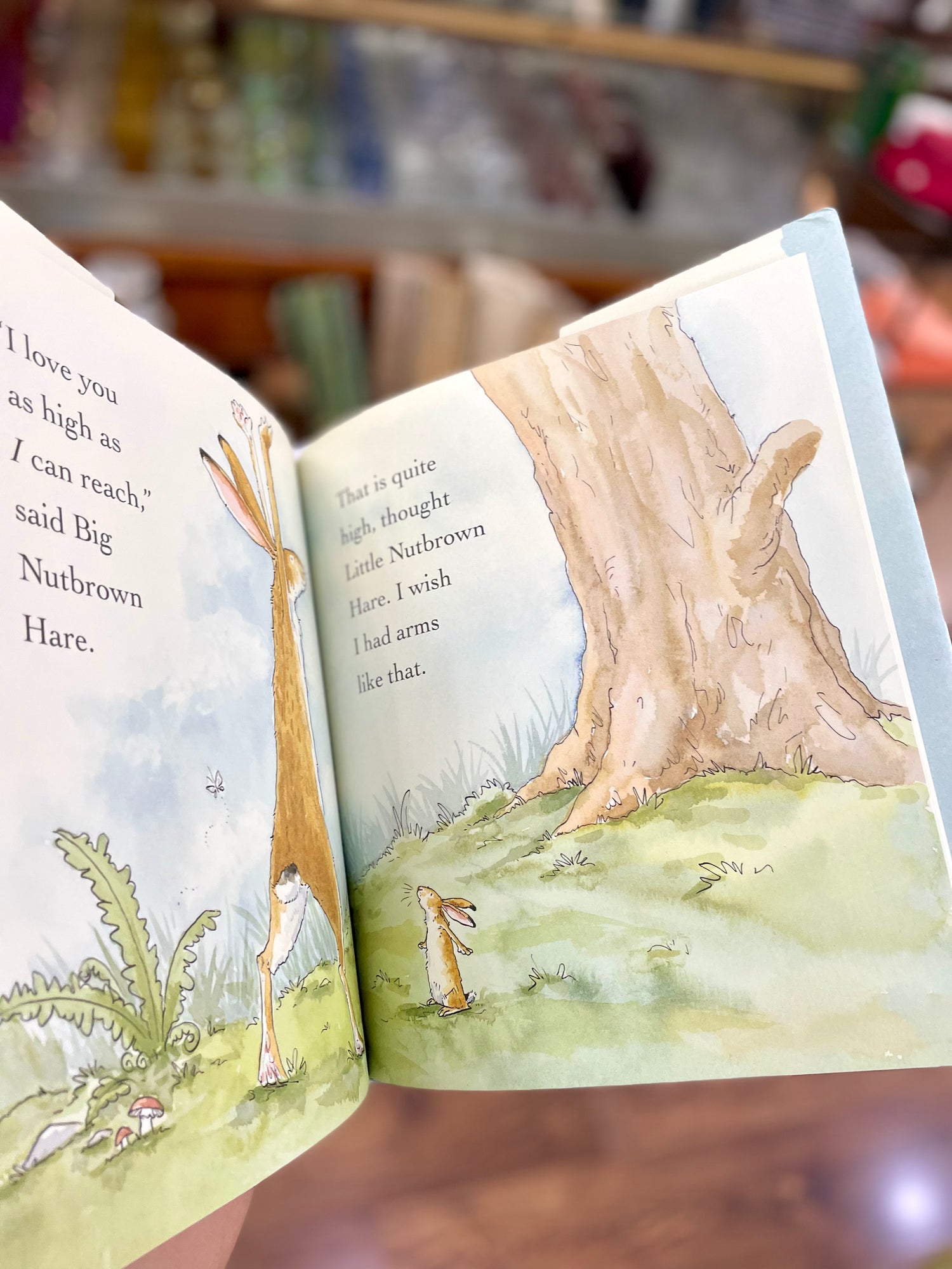 Guess How Much I Love You Hardbound