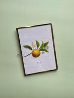 Brass and Glass Photo Frame