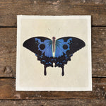 Swallowtail Butterfly Wall Paper Print