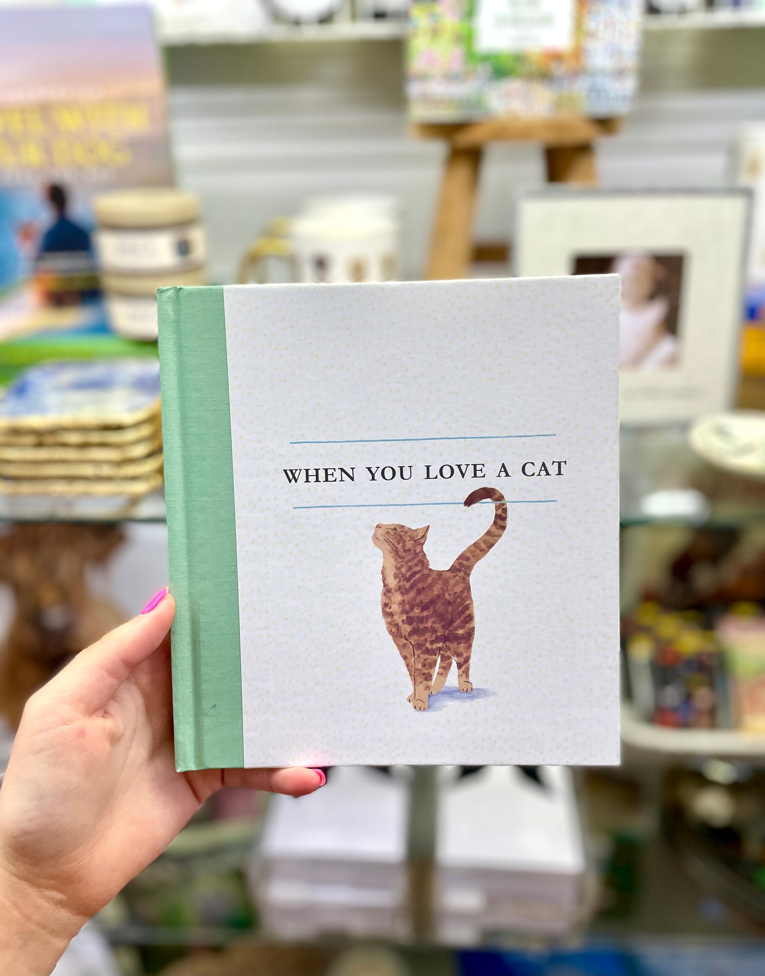 When You Love A Cat Book