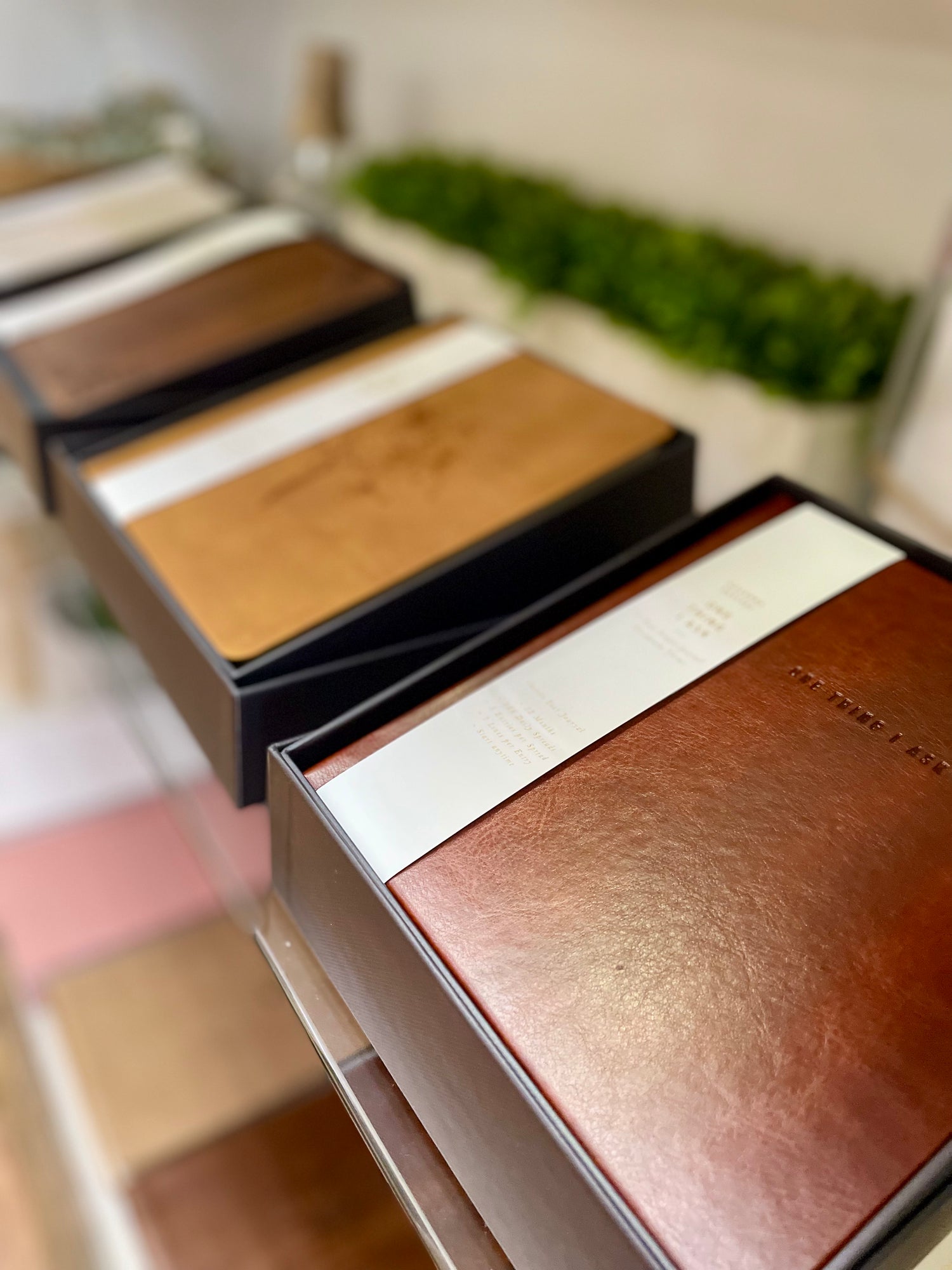 One Thing I Ask 5-Year Prayer Journal