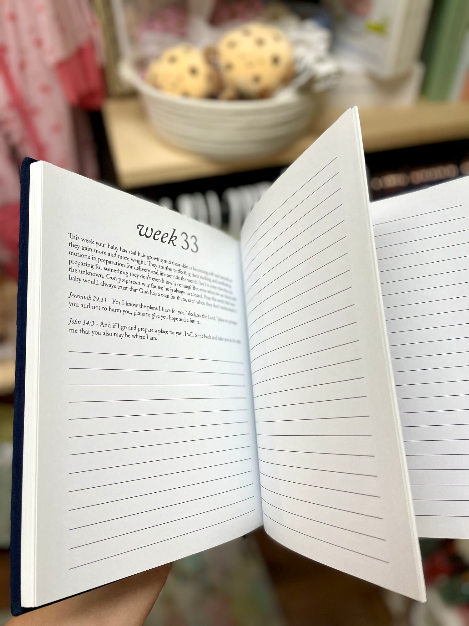 Journal Pregnancy Prayer Book