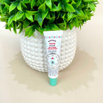 Rosebud Salve Minted Rose Tube 0.5oz