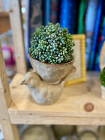 Stoneware Bird + Bowl