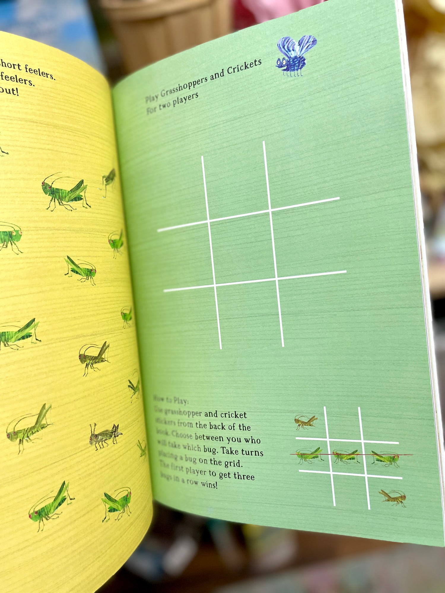 Big Sticker Book of Bugs