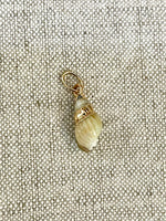 Seashell Gold Rim Charm