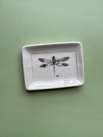 Ceramic Dish with Insect