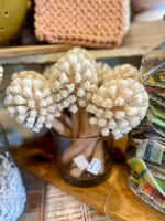 Dish Brush