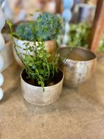 Metal Planters