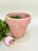 Pot Botanical BC1202