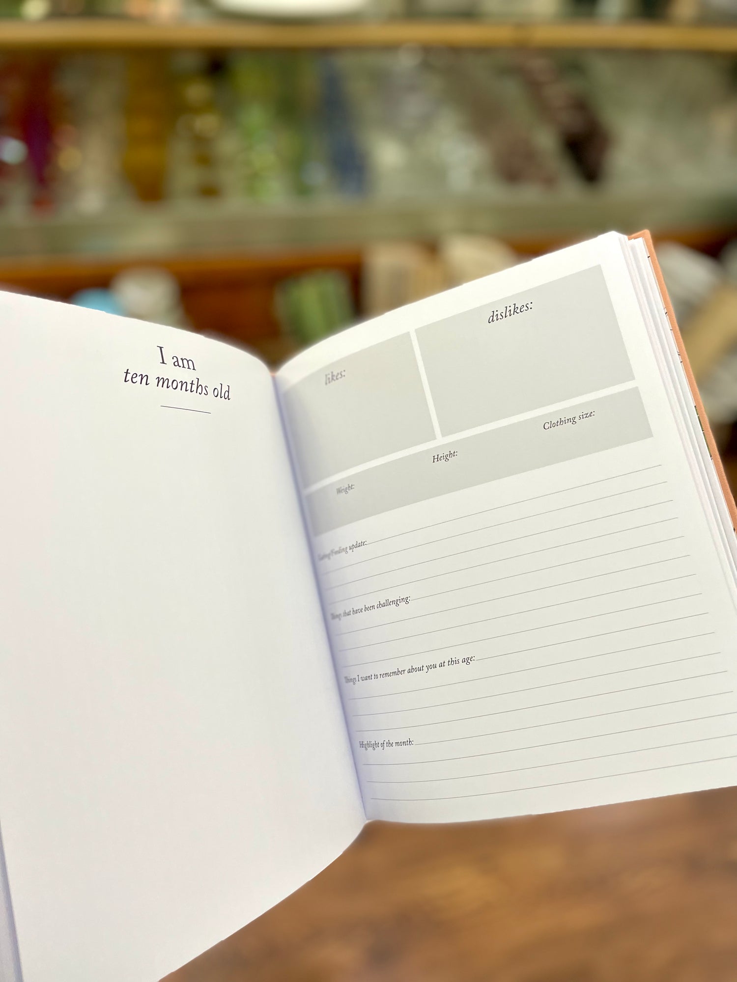 Baby's First Year Dusty Rose Memory Book & Photo Album