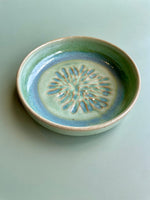 Grater Dish