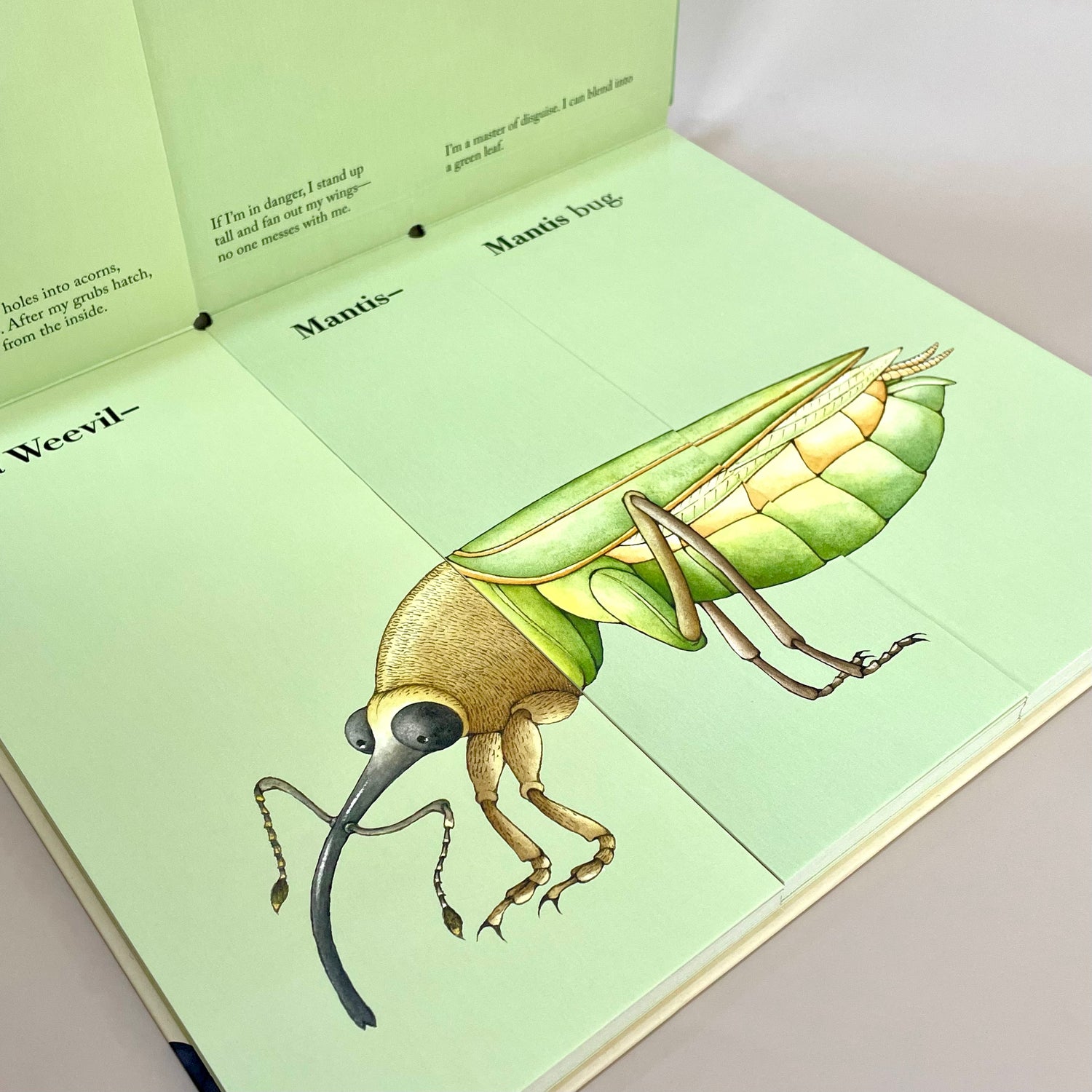Build a Bug Book