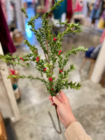 Stem Myrtle Branch W/Berries