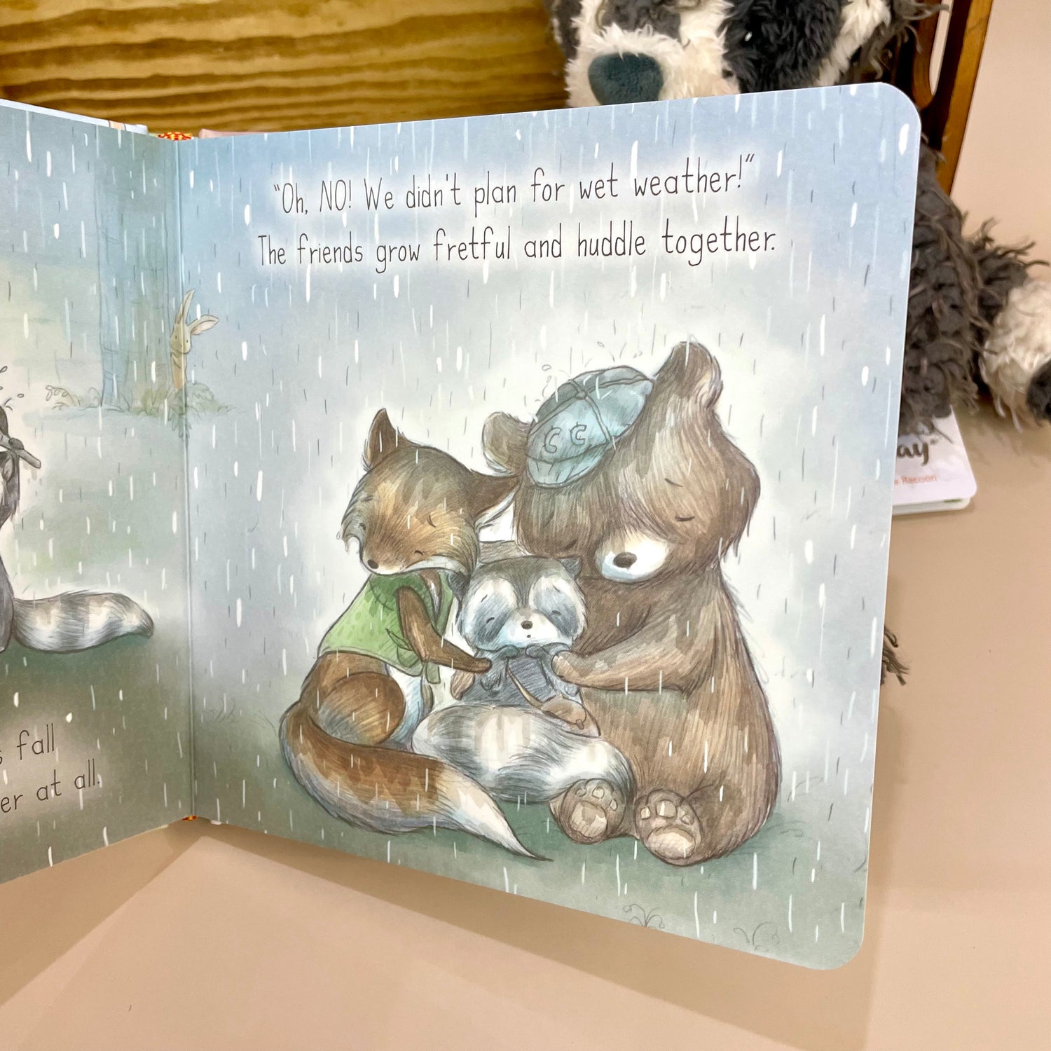 Camp Cricket Board Book