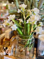 Daffodil Bulb Pick