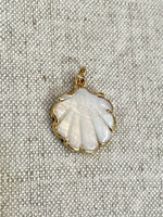 Freshwater Shell Charm
