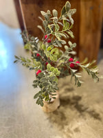 Tree with Red Berries