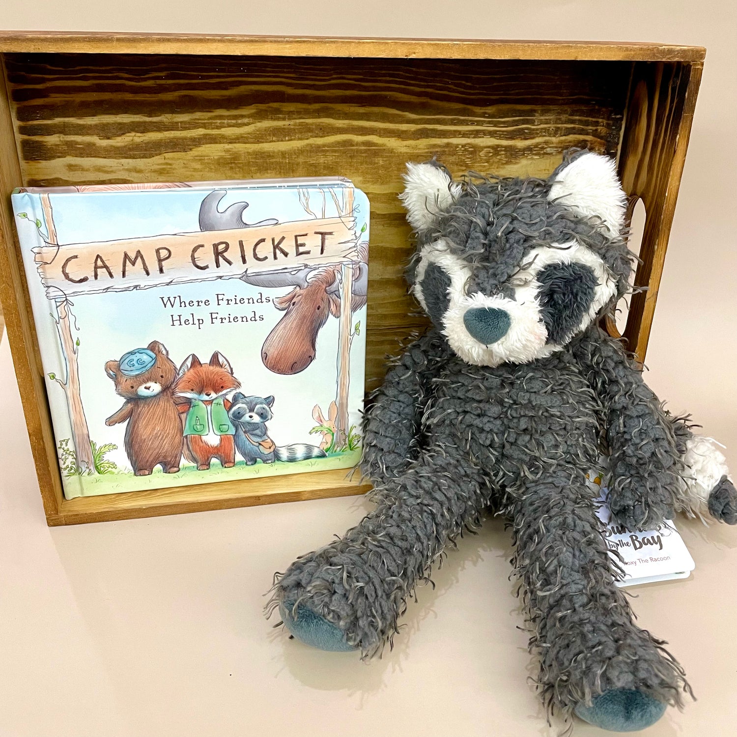 Camp Cricket Board Book