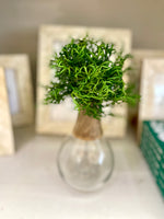 Vase Wood & Glass Sm KK