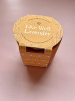Tiny Terracotta Live Well Lavender
