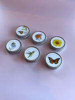 Garden Sprinkles Lavender