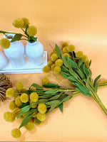 Pompom Pick Golden Bundle 6 Stem