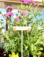 Elyssa Bass Gold Beaded Huggie Hoop Earring