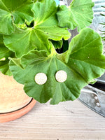 Elyssa Bass Curved Disc Stud Earrings