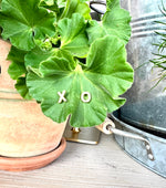 Elyssa Bass XO cz Stud Earring