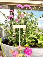 Elyssa Bass Garnet with Hammered Rectangle Earrings
