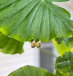 Elyssa Bass Small Chunky Hoops