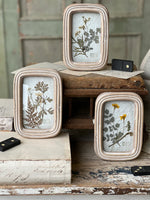 Wakefield Mini Botanical No. 3