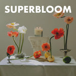 Superbloom Candle Ranger Station