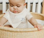 Fischer Bandana Bibs