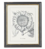 Gold and Black Framed Prints