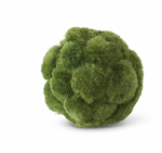Moss Ball